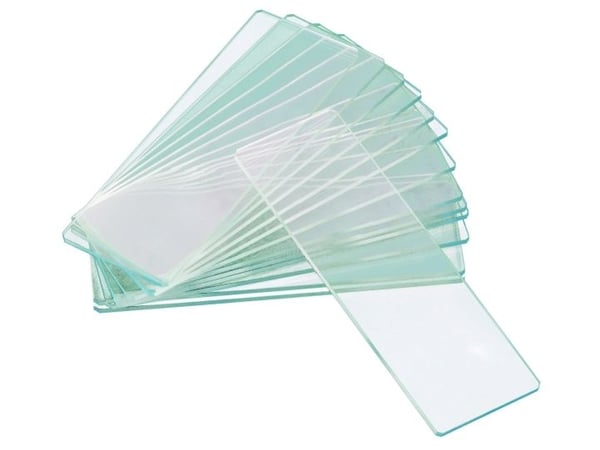 Mikroskop Levenhuk G50 2H Dobbel hulrom blanke lysbilder, 50 stk.