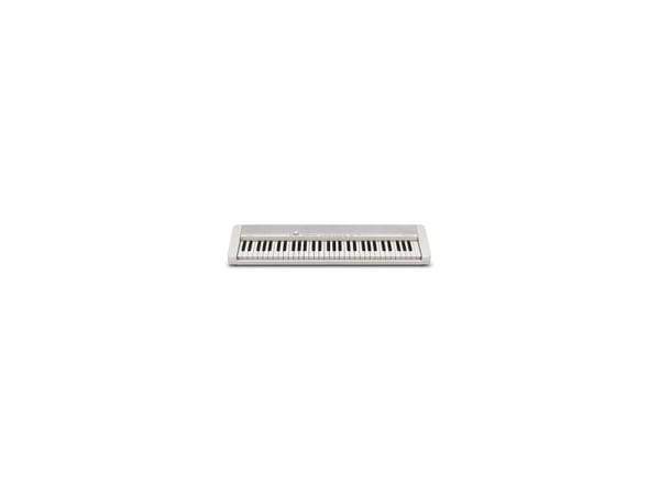 Sintezatorius Casio CT-S1WE