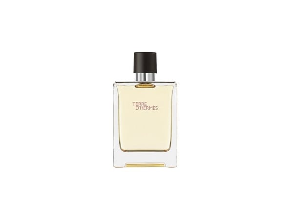Hermes Terre D'Hermes Edt Spray 100 ml Men