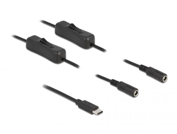 Delock - Strømsplitter - 24 pin USB-C (hann) til 5,5 x 2,1 mm DC-jakk (hunn) - 1 m - svart