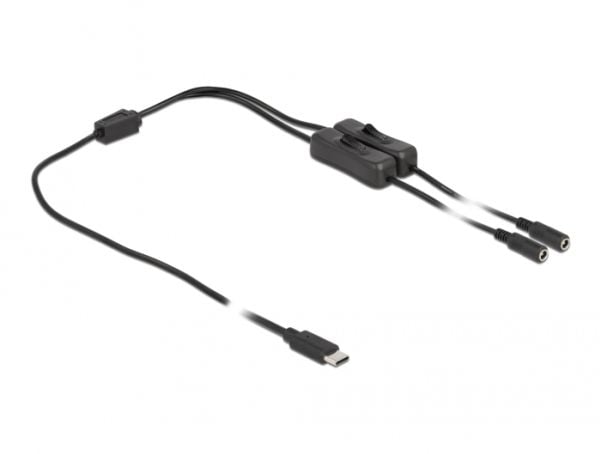 Delock - Strømsplitter - 24 pin USB-C (hann) til 5,5 x 2,1 mm DC-jakk (hunn) - 1 m - svart