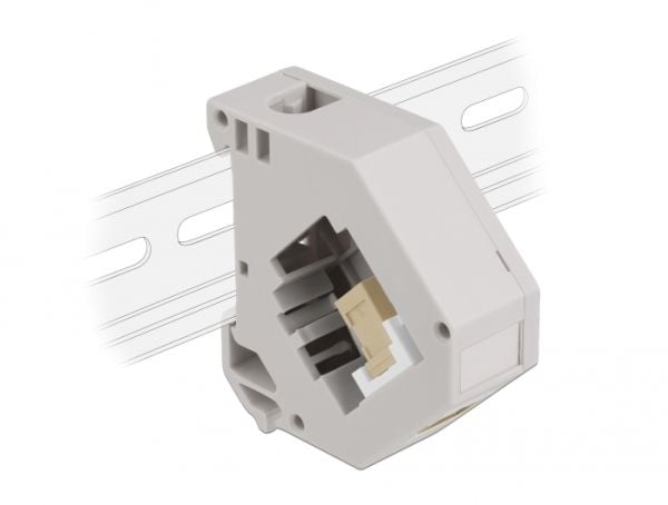 Delock - Modulinnlegg - DIN-skinnemonterbar - SC - grå, hvit, beige