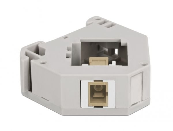 Delock - Modulinnlegg - DIN-skinnemonterbar - SC - grå, hvit, beige