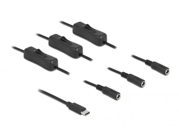 Delock - Strømsplitter - 24 pin USB-C (hann) til 5,5 x 2,1 mm DC-jakk (hunn) - 1 m - svart