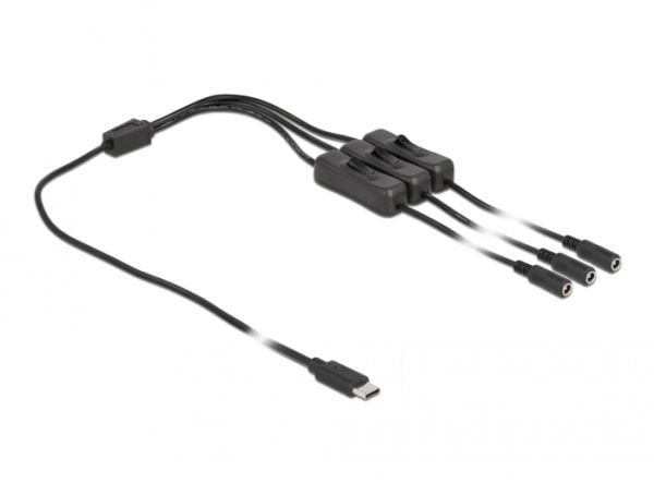 Delock - Strømsplitter - 24 pin USB-C (hann) til 5,5 x 2,1 mm DC-jakk (hunn) - 1 m - svart