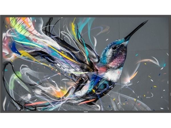 Philips 50BDL3511Q - 50" Diagonalklasse Q-Line LED-bakgrunnsbelyst LCD-skjerm - intelligent skilting - 4K UHD (2160p) 3840 x 2160