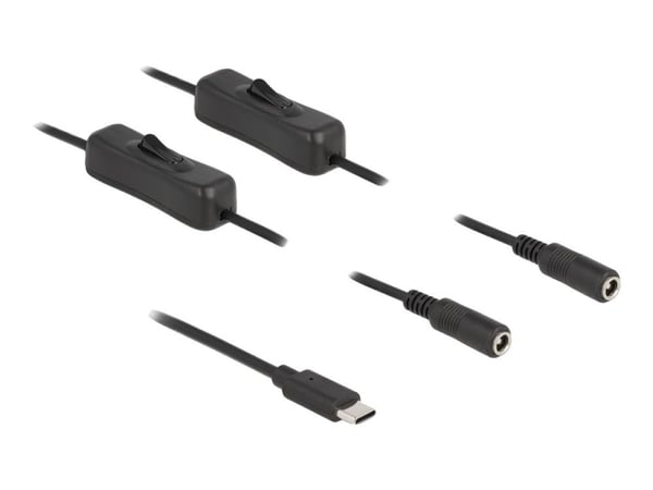 Delock - Strømsplitter - 24 pin USB-C (hann) til 5,5 x 2,1 mm DC-jakk (hunn) - 1 m - svart