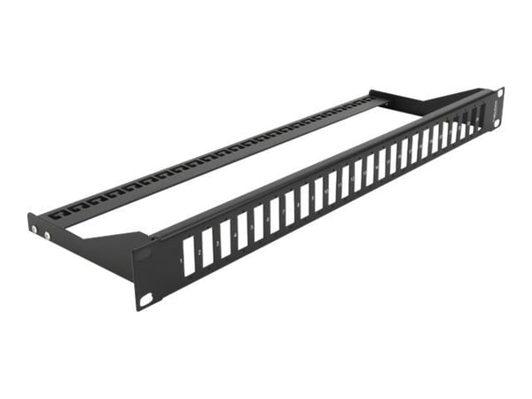 Delock - Pluggbord (blankt) - rackmonterbar - svart - 1U - 19" - 24 porter