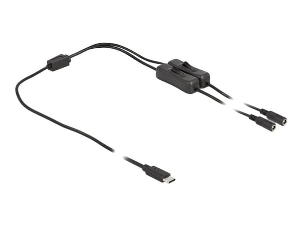 Delock - Strømsplitter - 24 pin USB-C (hann) til 5,5 x 2,1 mm DC-jakk (hunn) - 1 m - svart