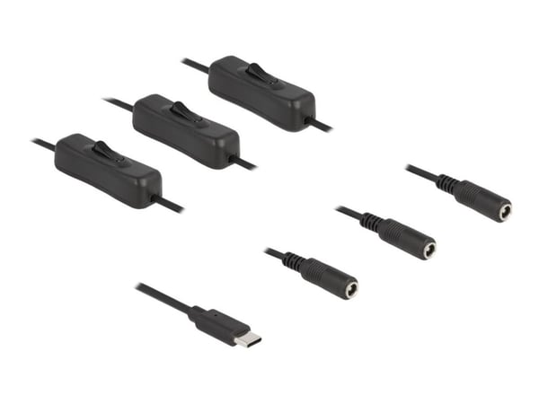 Delock - Strømsplitter - 24 pin USB-C (hann) til 5,5 x 2,1 mm DC-jakk (hunn) - 1 m - svart