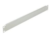 Delock - Blindpanel till rack - grå - 1U - 19"