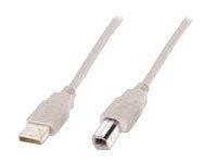 ASSMANN - USB-kaapeli - USB (uros) - USB Type B (uros) - USB 2.0 - 1,8 m - muotoiltu - beige