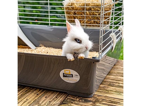 FERPLAST Rabbit 100 - Bur