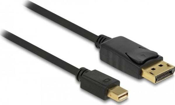 Delock - DisplayPort-adapter - DisplayPort (hann) til Mini DisplayPort (hann) - 50 cm - svart