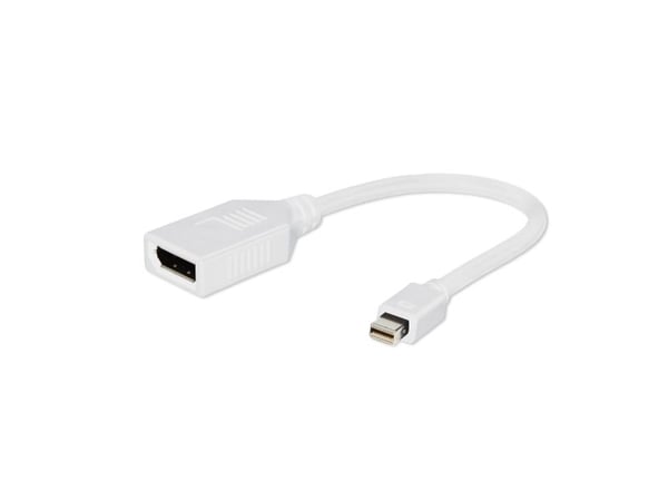 Cablexpert - DisplayPort-adapter - DisplayPort (hunn) til Mini DisplayPort (hann) - 10 cm - hvit