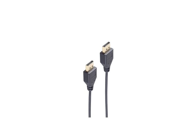 shiverpeaks BS10-49025, 1 m, DisplayPort, DisplayPort, Hanstik, Hanstik, Hanstik, 3840 x 2160 pikseliä