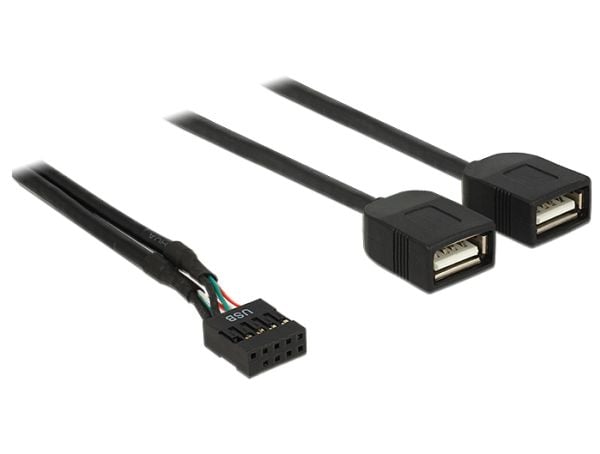 Delock - Intern-til-ekstern USB-adapter - 10-pins USB-kontakt (hunn) til USB (hunn) - 40 cm - svart