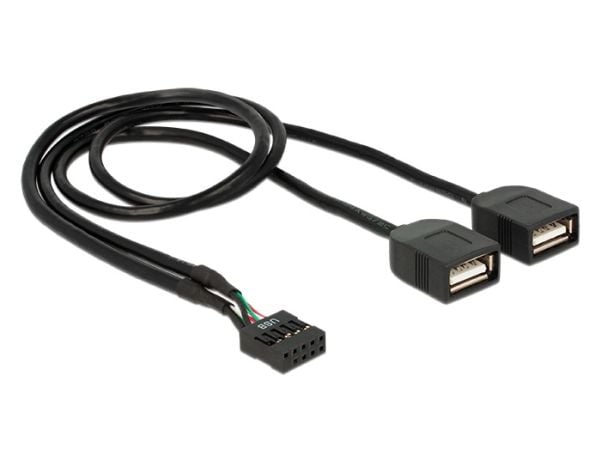 Delock - Intern-til-ekstern USB-adapter - 10-pins USB-kontakt (hunn) til USB (hunn) - 40 cm - svart
