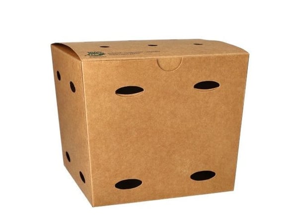 Papstar 87263, Fotoark kartong, Brun, 2,5 l, FSC, 160 mm, 160 mm