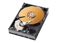 CoreParts MUXMS-00077, 40 GB, 7200 RPM, 3.5" CoreParts MUXMS-00077, 40 GB, 7200 RPM, 3.5"