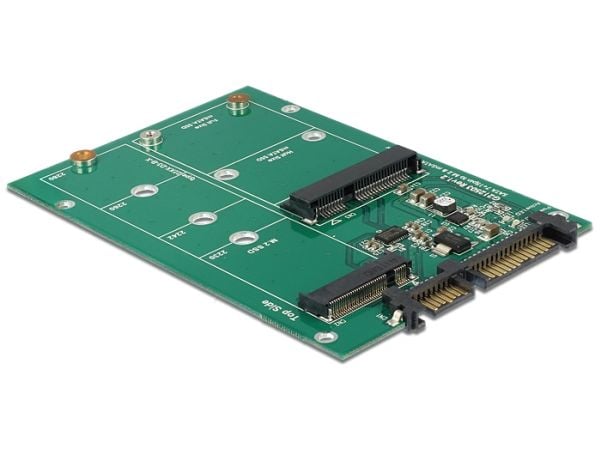 Delock Converter SATA 22 Pin > 1 x M.2 NGFF + 1 x mSATA - Uttagbar harddiskramme - 2,5" til mSATA / M.2
