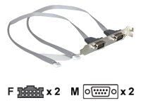 DeLOCK Slot bracket 2 x COM port (2 mm pitch), Hopea, DB-9
