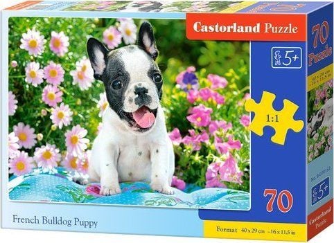 Castorland Puzzle 70 Ranskanbulldogin pentu CASTOR