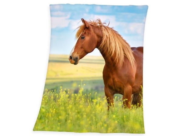 Heste Fleece tæppe - 130 x 160 cm