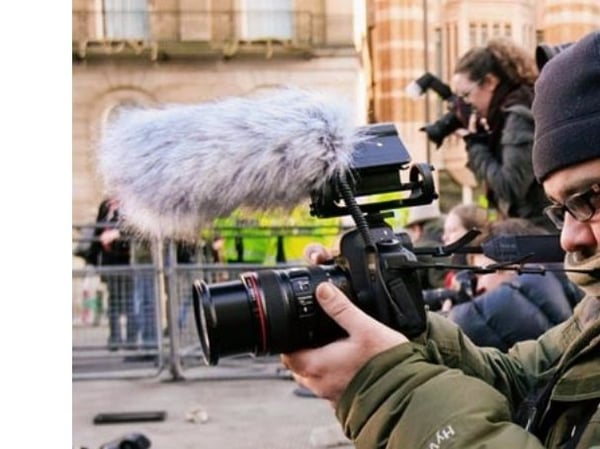 RØDE DeadCat, 105 mm, 208 mm, 31 mm, 22 g, 1 stykker