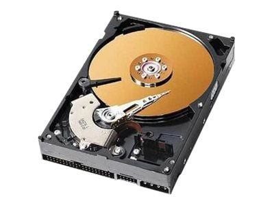 CoreParts MUXMS-00077, 40 GB, 7200 RPM, 3.5"