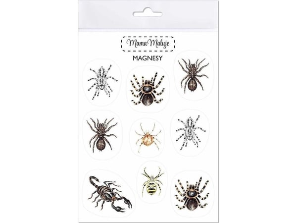 Mama maalit magneetit Arachnids