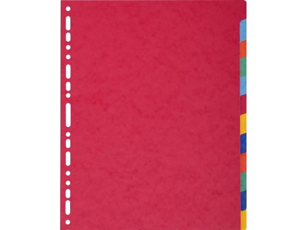Flikar Exacompta A4+, kartong, 12-delad
