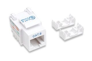 Intellinet 210591, Flat, Hvit, RJ-45, Hunkjønn, 22/26, Cat6
