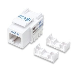 Intellinet 210591, Flat, Hvit, RJ-45, Hunkjønn, 22/26, Cat6