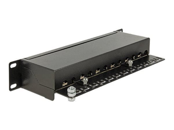 Delock - Koblingspanel - CAT 6a - RJ-45 X 12 - kullsort, RAL 9005 - 1U - 10"