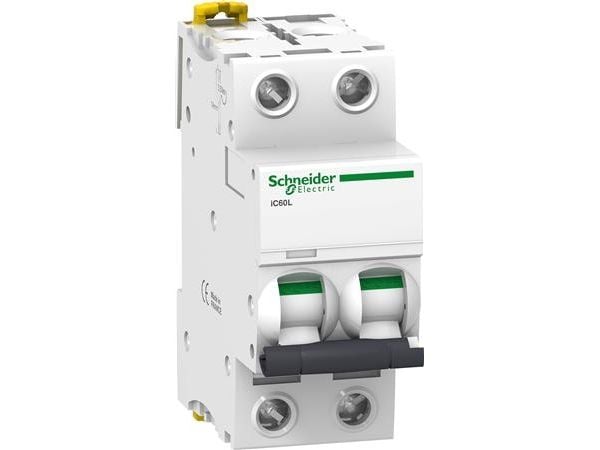 Schneider Electric A9F94216, IP20
