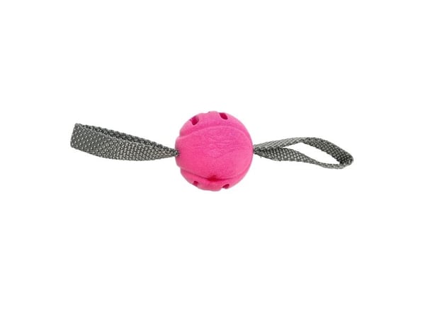 Dogman Leksak Fetchball Rosa 6cm