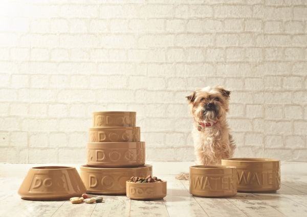 MASON CASH Vandskål Keramik spaniel