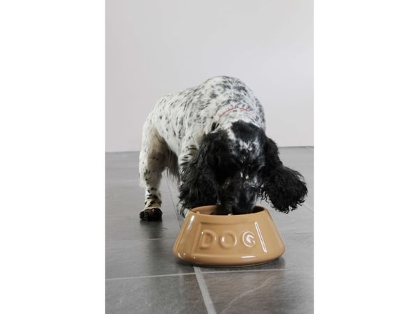 MASON CASH Vandskål Keramik spaniel
