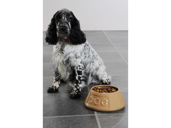 MASON CASH Vandskål Keramik spaniel