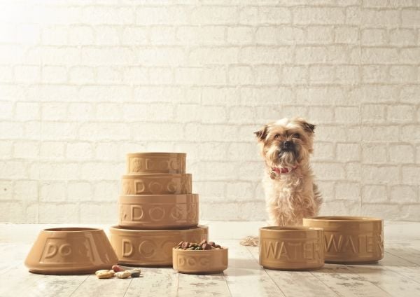 MASON CASH Vandskål Keramik spaniel