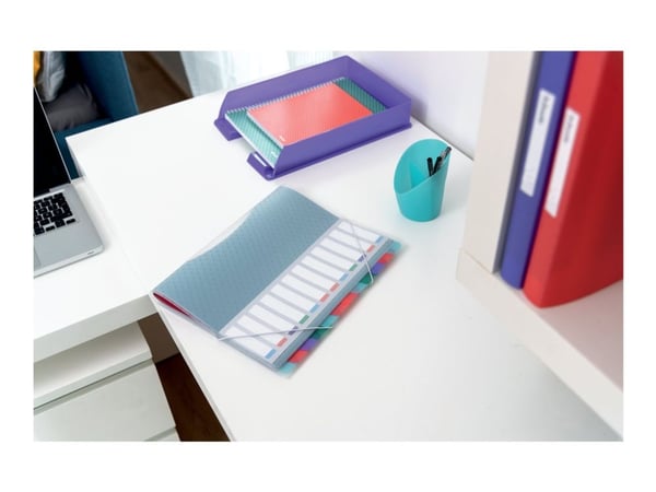 Esselte Colour'Ice - Klassifikasjonsmappe - 12 rom - 12 deler - med fliker - multifarge