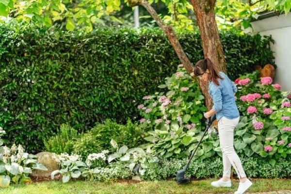 Bosch GRÆSTRIMMER EASY GRASS CUT 280W 26CM