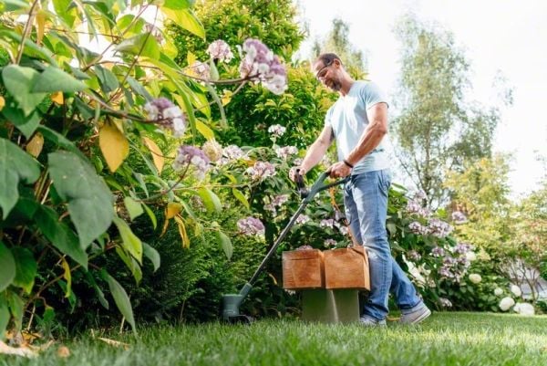 Bosch GRÆSTRIMMER EASY GRASS CUT 280W 26CM