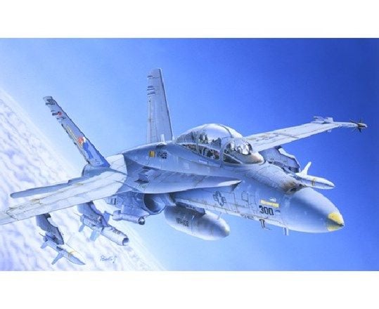 1:72 F/A-18C/D WILD WEASEL 1:72 F/A-18C/D WILD WEASEL