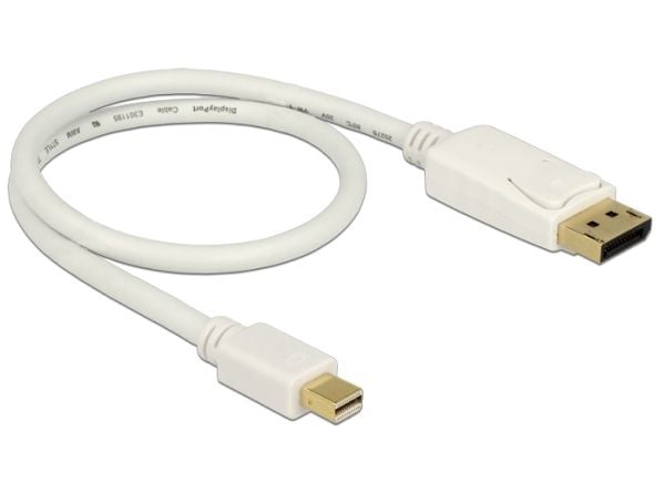 Delock - DisplayPort-adapter - DisplayPort (hann) til Mini DisplayPort (hann) - 50 cm - hvit