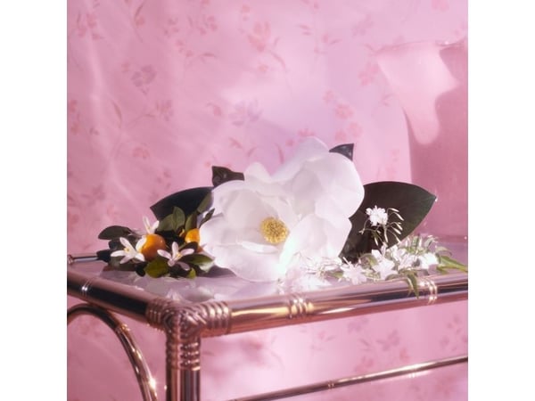 Gucci Flora Gorgeous Jasmine Edp Spray - - 100 ml