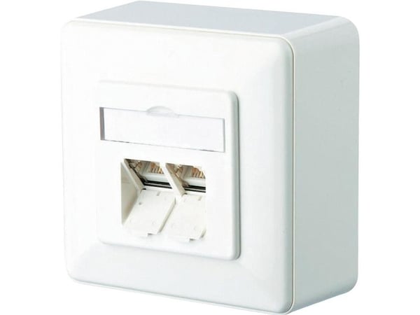 BTR IT CONNECT E-DAT C6 8/8(8) AP Cat.6 - Stik til montering på overflade - CAT 6 - RJ-45 X 2 - ren hvid, RAL 9010