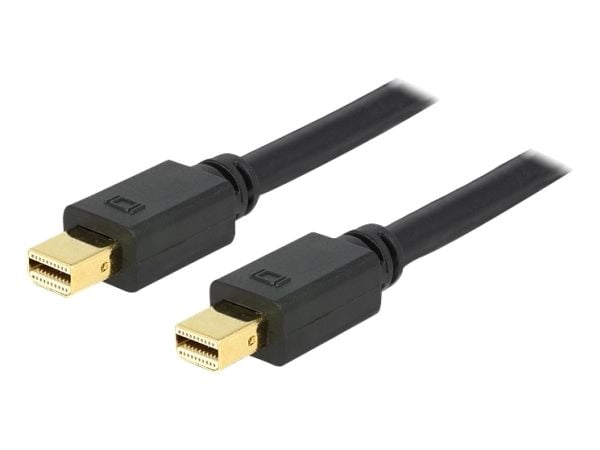 Delock - DisplayPort-kabel - Mini DisplayPort (hann) til Mini DisplayPort (hann) - 2 m - svart