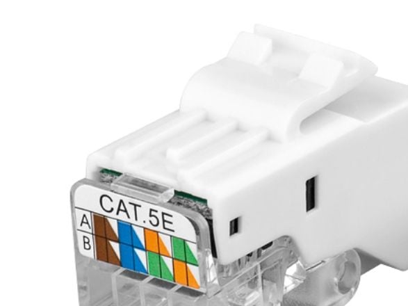 Goobay 95739, Tasainen, Valkoinen, RJ-45, IDC, Naaras, Cat5e